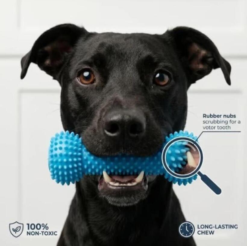 Bastão de Mastigação para Pets - Teeth Whitening Brush avaliação e preço