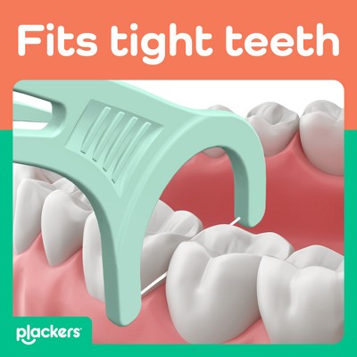 Fio Dental Micromint com Palit - Dental Floss Picks avaliação e preço