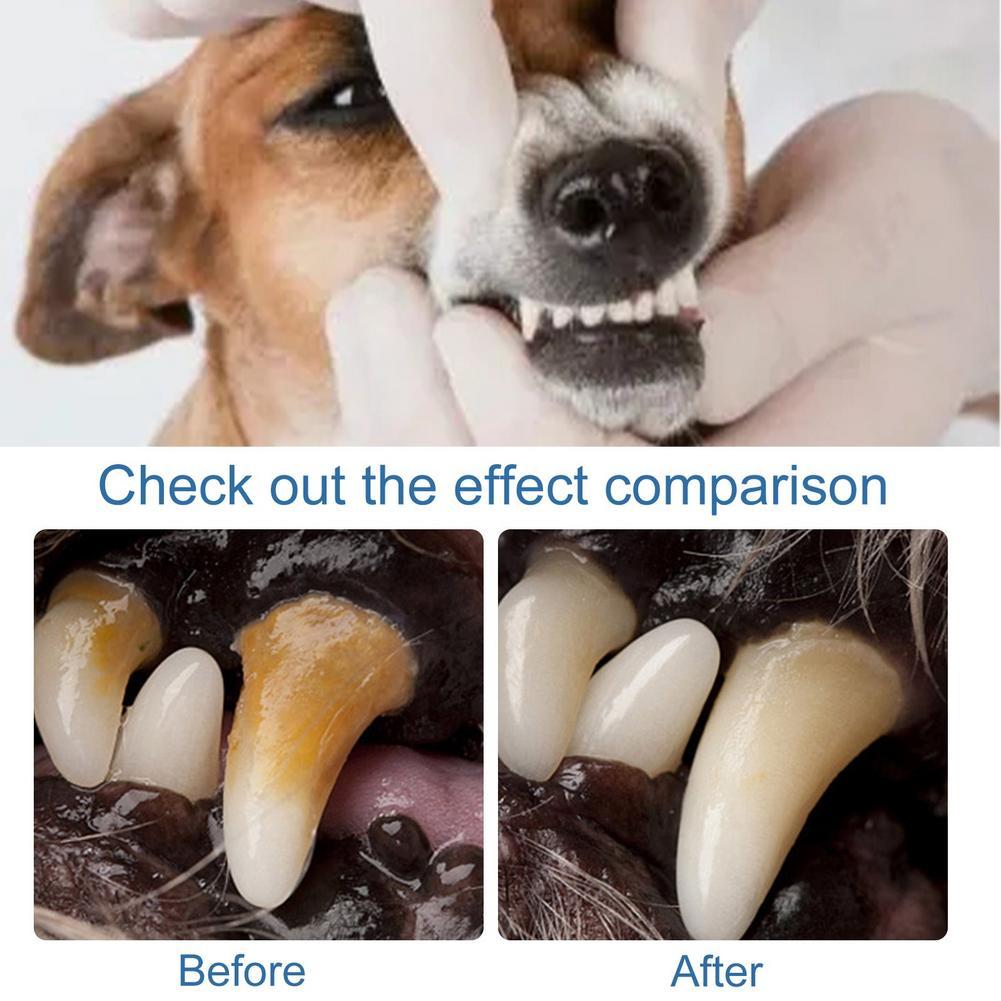 Limpeza Oral para Pets: Spray  - Teeth Whitening Brush avaliação e preço
